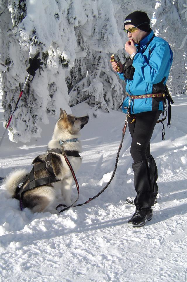 Fotky: Grnsk pes (foto, obrazky)